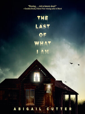 cover image of The Last of What I Am